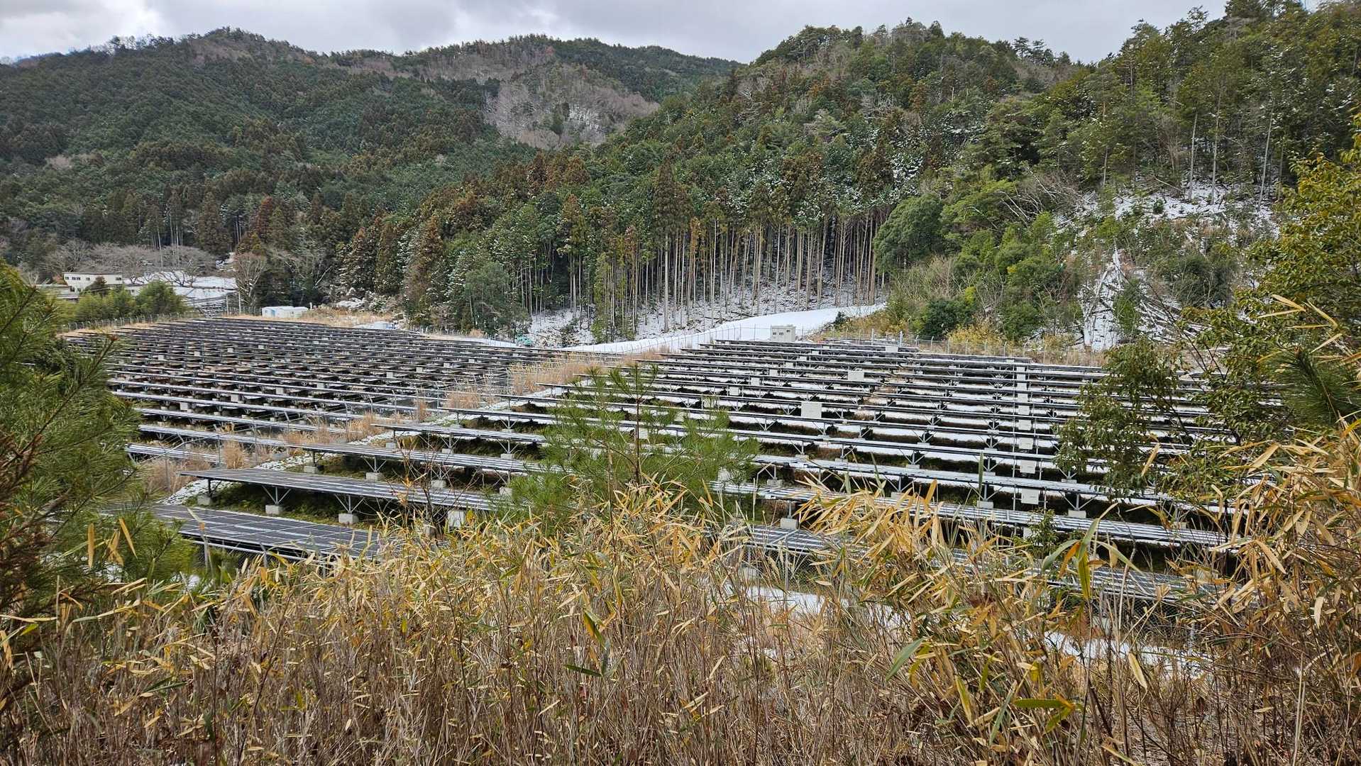 出野山-野間の大ケヤキ-大堂越-黒川駅 周回コースの写真
