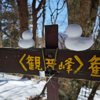 観音峯山頂⛰️ 
眺望は無し

スノーボール機にも出番があって、
ふわ雪で遊べて良かった〜⛄❄️