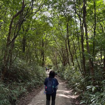 緑がキレイ🍃