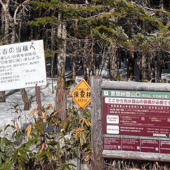 この先はTHE登山🏔️
覚悟していかないと