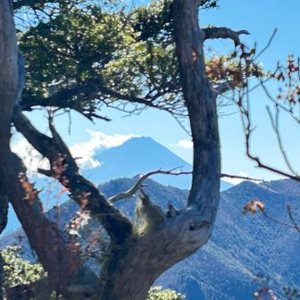 強くて冷たい風が吹いていたので岩の陰に隠れて座ったら正面がこれでした🗻