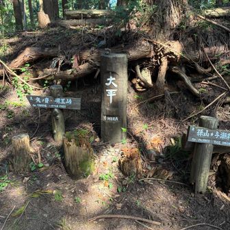 やっと最初の休憩所