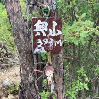 奥山⛰️山頂