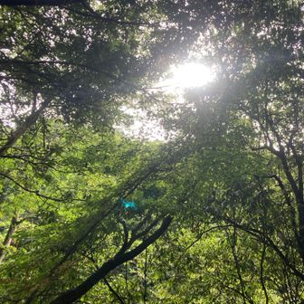 陽も出てきました！