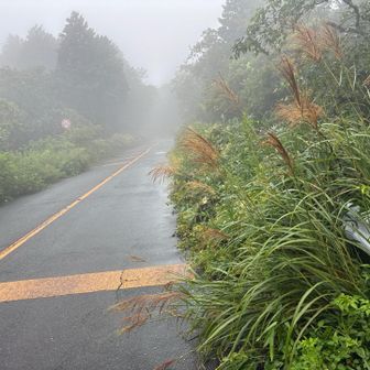 次のピークを目指す途中で一般道に。
車には気をつけよう。