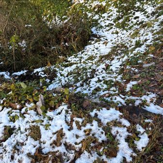 駐車場まで歩くと雪❄️
昨晩降ったようです。