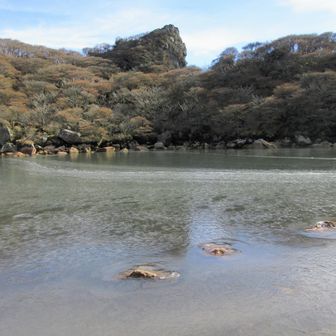 僅かに氷が張ってました。