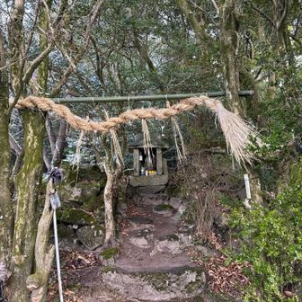 どうも。1週間ぶりです🙇