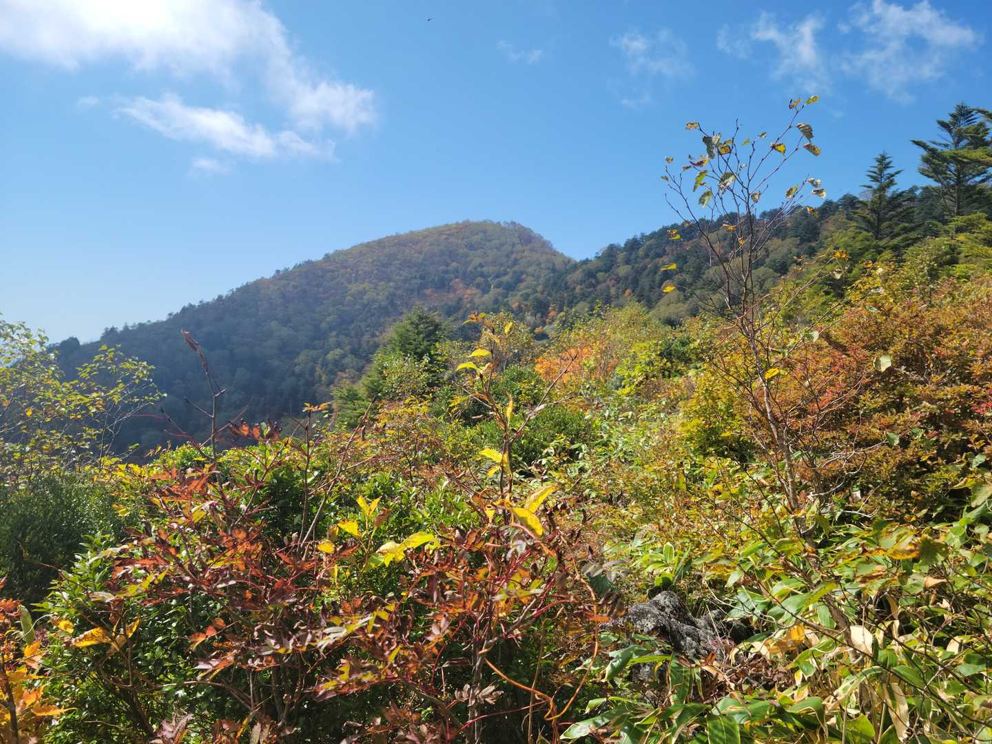 飯縄山も見えてきました～🎶