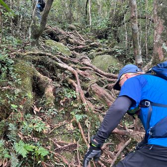 ずっとこんな登山道