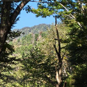 これから向かう子ノ神の山頂が見えた。