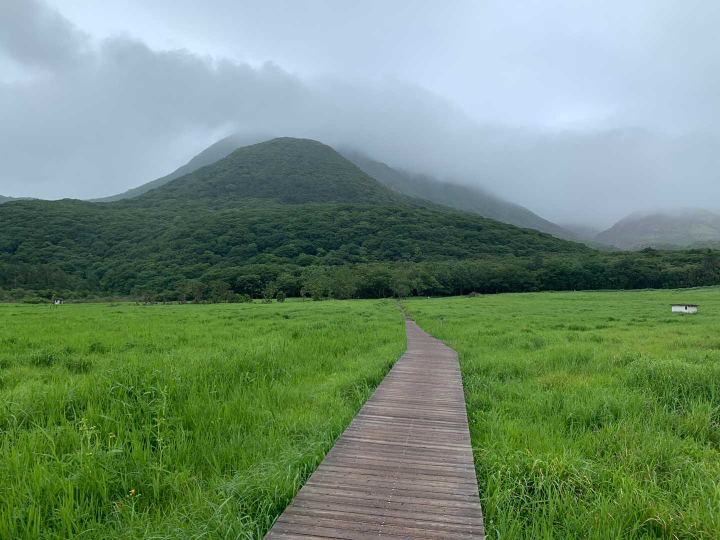 くじゅう登山口-雨ヶ池越-坊ガツル炊事場-大船山登山口-大 往復コースの写真