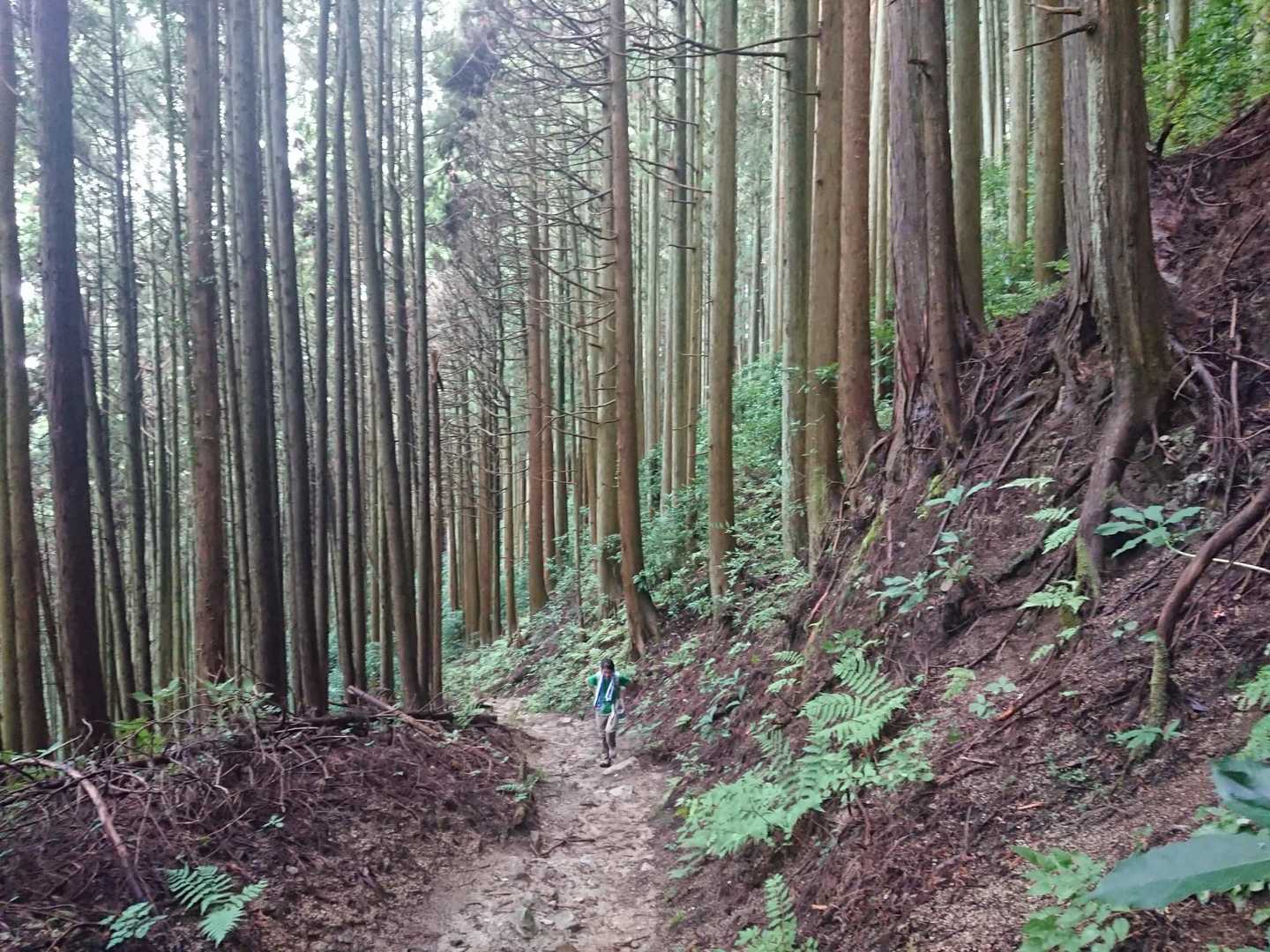 妻もお盆明けの立山に向けてトレーニングだそうです💪良いなぁ🤤