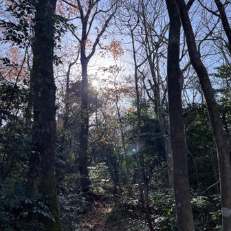 帰路は宮前コース