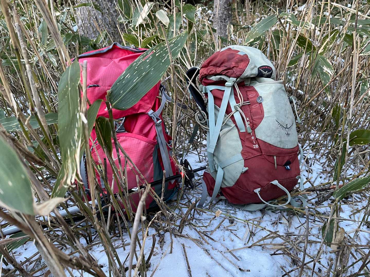 ここだと思われる山頂で記念写真。
ヤブが似合うザックになってきた😄