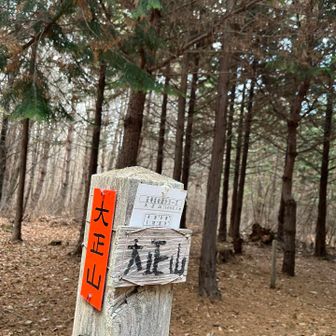 大正山山頂
　🪧　素朴で味わい深い。！