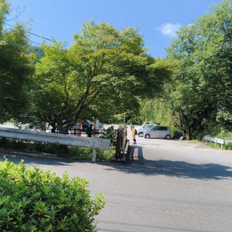 朝Walk2時間30分もう充分歩きました!
熱中症になる前に終了しましょう!
今日もありがとう🙏