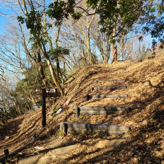 さて、分岐点まで戻ってきました。次は、霊山へ。残り500m‼️
