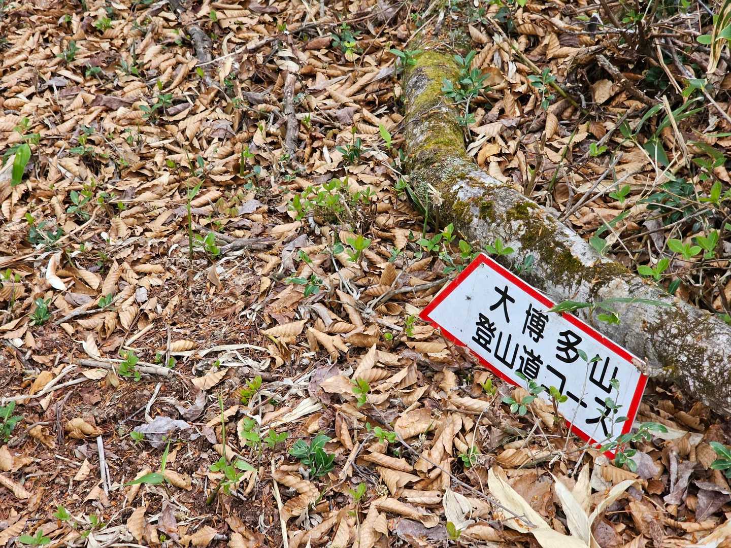 昨日の荒海山と同じ案内板。整備してくださるグループが同じなのかな。