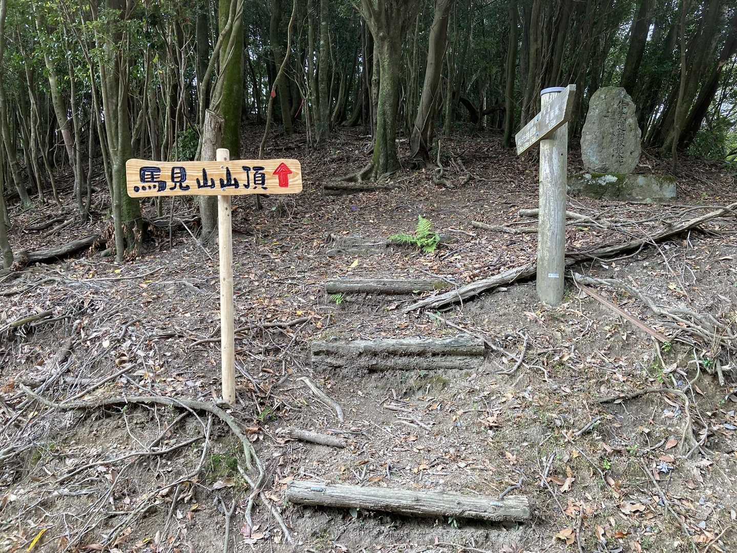 林道を横切って再び登山道へ🚶‍♂️
