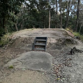 ここが山頂の位置