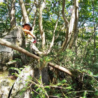 YAMAP地図ではこの辺りが山頂かと。赤布あったので、たぶんココかなぁ。山頂の木札は見当たりませんでした。