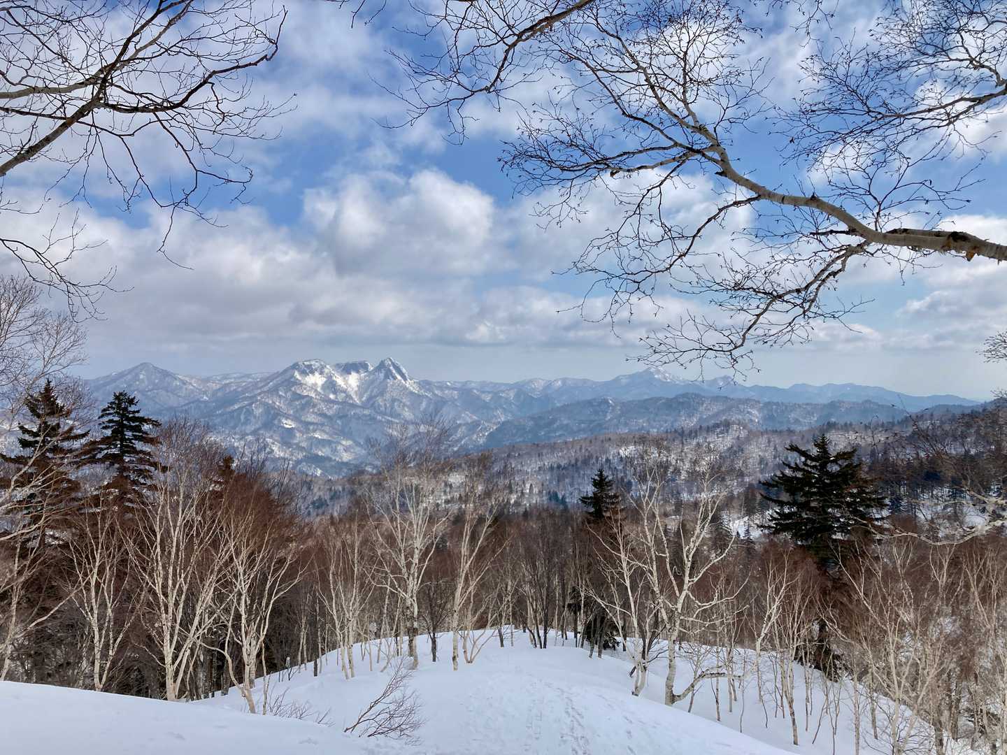 元山登山口-千尺高地 往復コースの写真