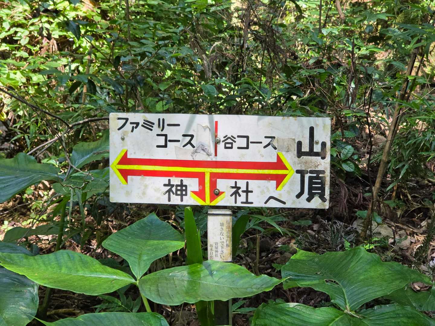 谷コースへ