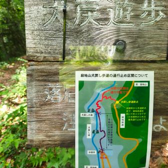 少し登ったところから通行止め🚫