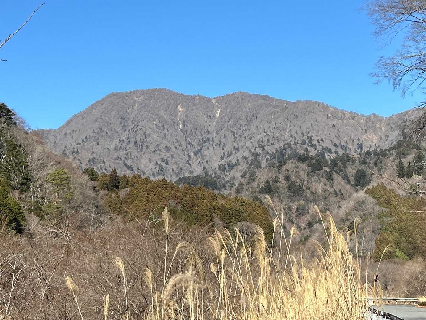 また来るぜ。アバヨ👍
