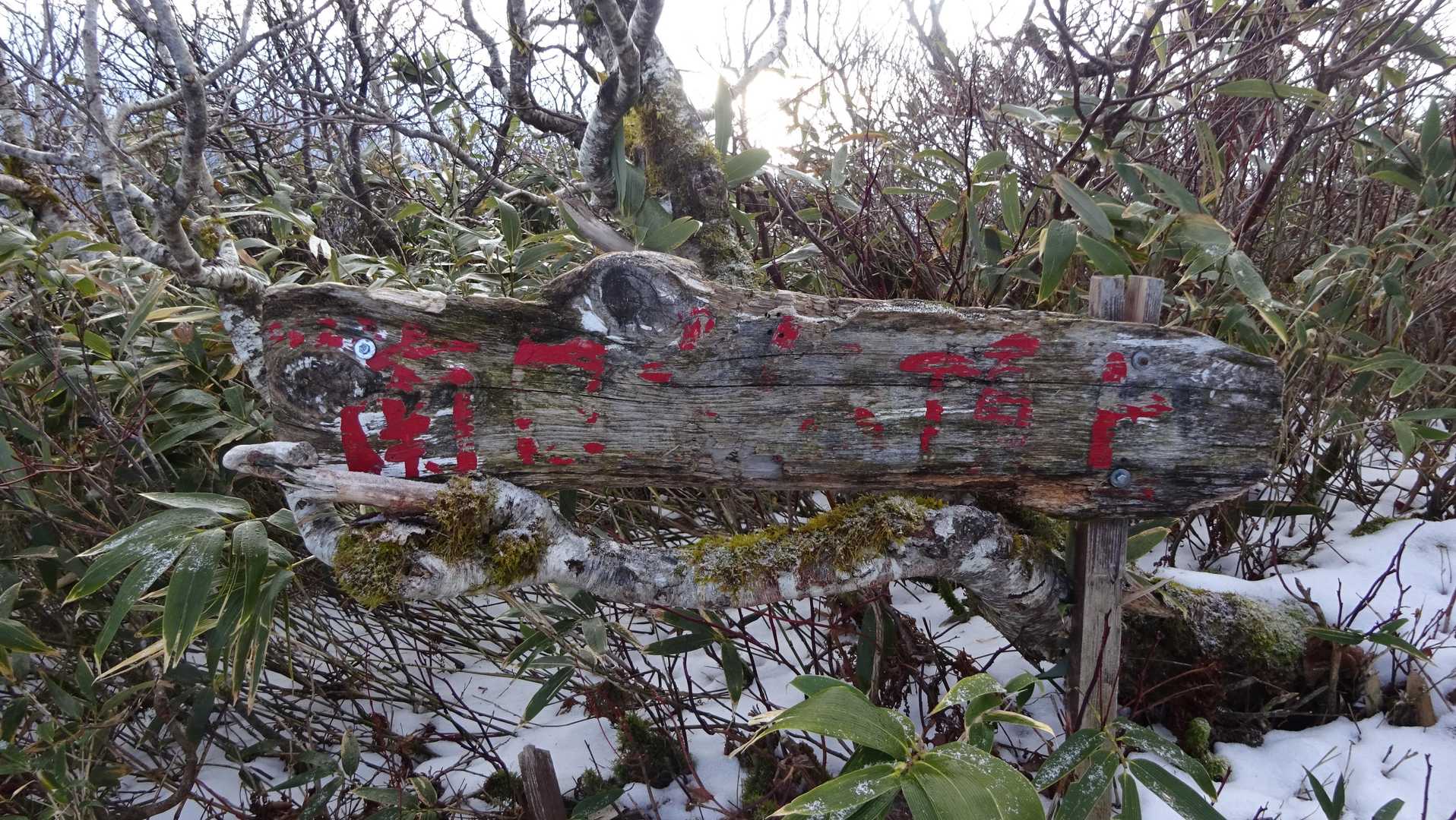 南白水岳に到着です