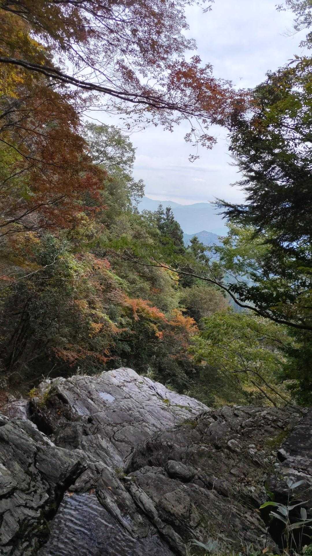滝の近くは良い感じに紅葉してました🍁