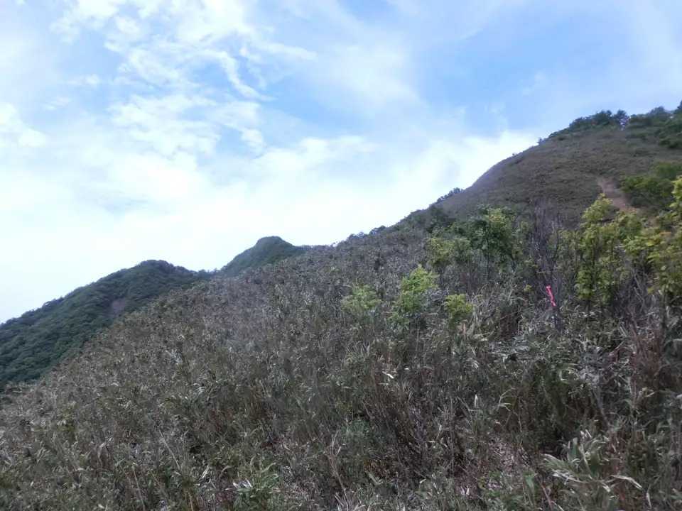 花房山の写真