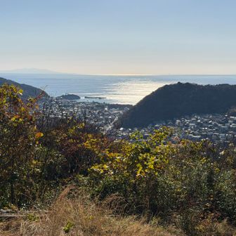 ソッカから大島