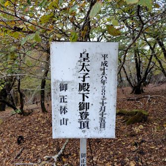 なんと22年前のほぼ同じ時期に。