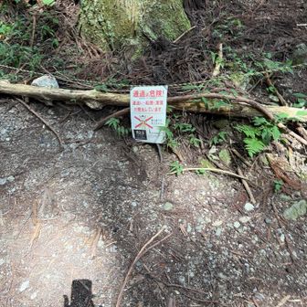 本道に降りました😁無事下山しました。
今日も歩けて、感謝です🙂‍↕️