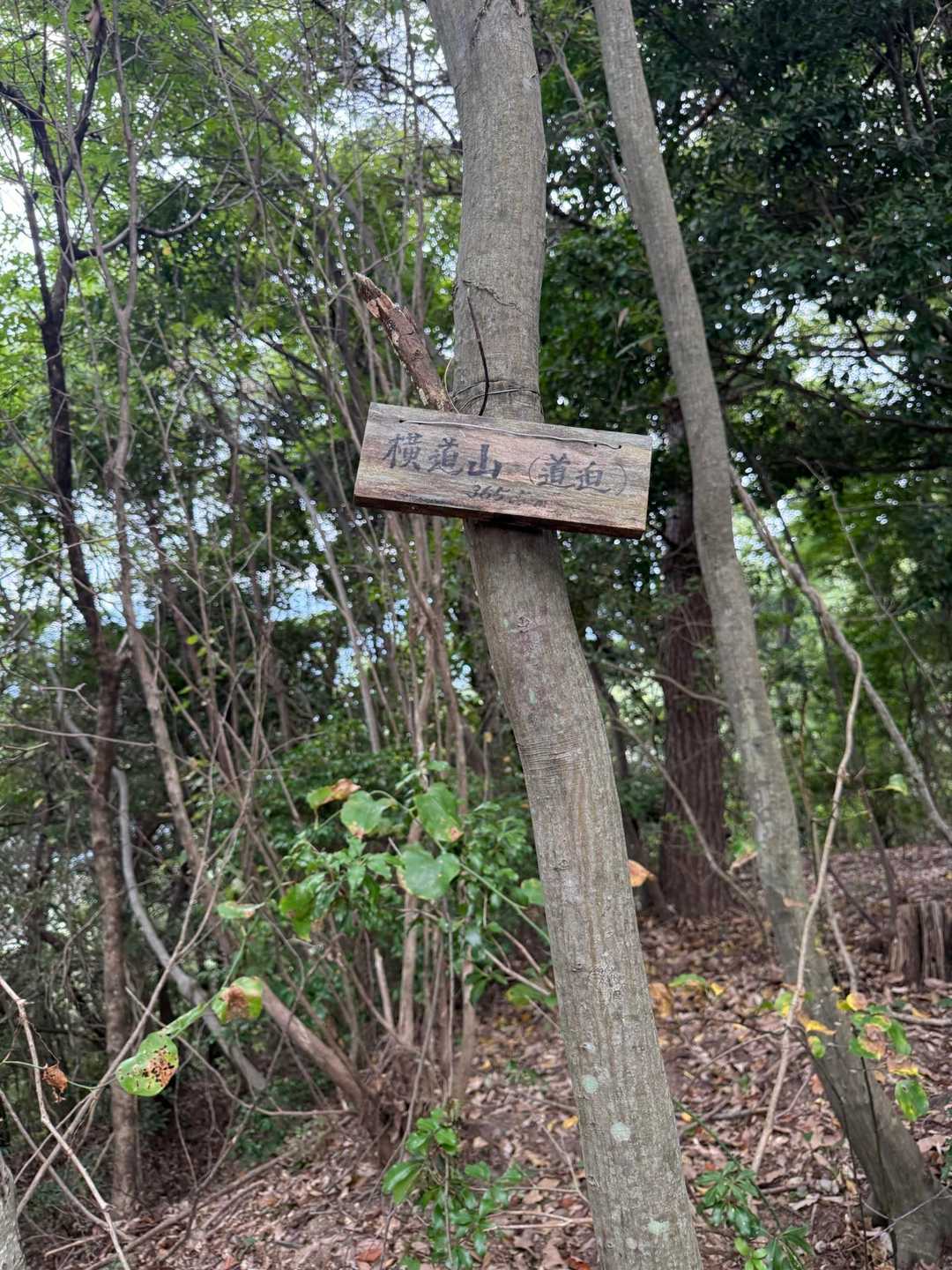横道山登頂⛰️！
