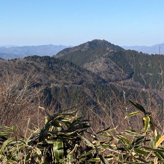 能郷白山に高賀山、平家岳に滝波山。
いつも金華山の展望台から羨望の目で眺めさせてもらっています。登山を始めたばかりの頃は彼らは神様のような遠い存在でした。