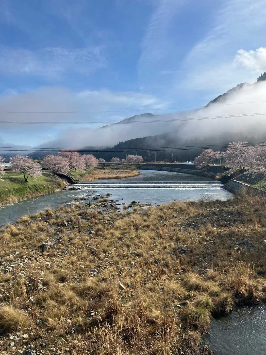 天気☀️は良さそうな✌️