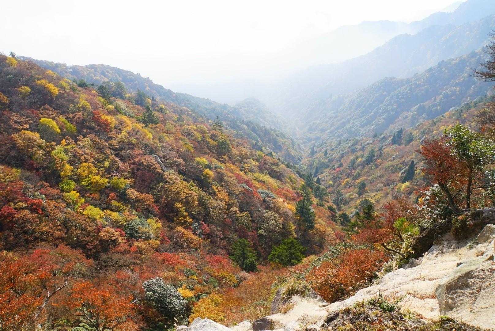 石榑峠-三池岳-八風峠-中峠-仙香山-釈迦ヶ岳 往復コースの写真