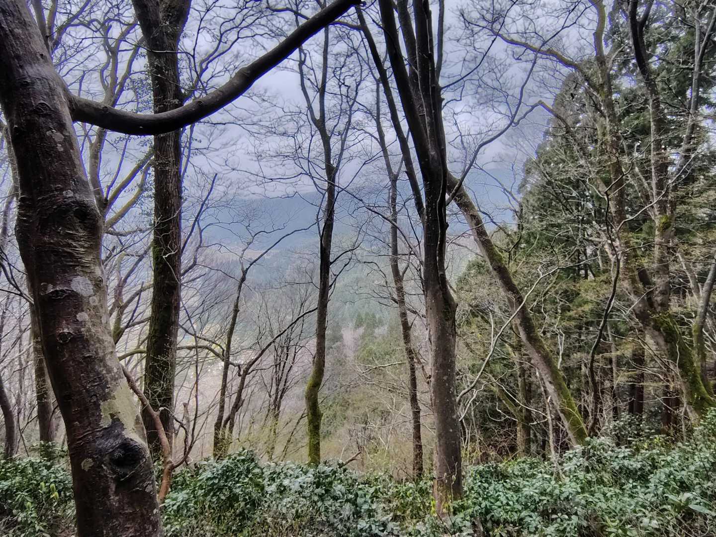 急登をクリアして尾根に出た。
猿毛岳なかなかキツイです^^;