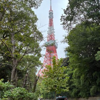 東京タワーへの路
停車してるのは焼き芋売り