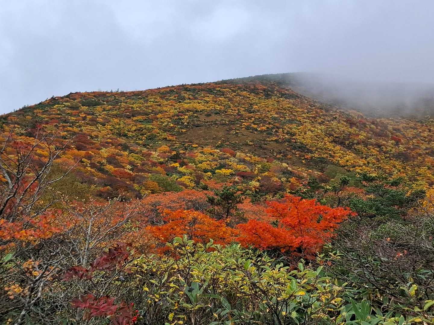 あだたら山ロープウエイ山頂駅-安達太良山-矢筈森 往復コースの写真