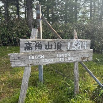 高嶺🚩
