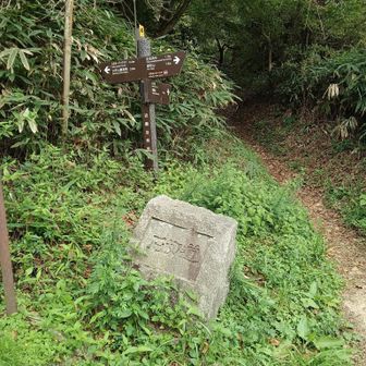 石切道から縦走路に！
