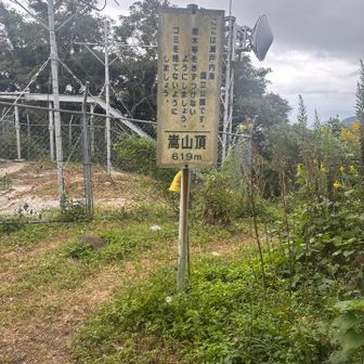山頂にきました