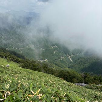 ここに来た山道が見えました