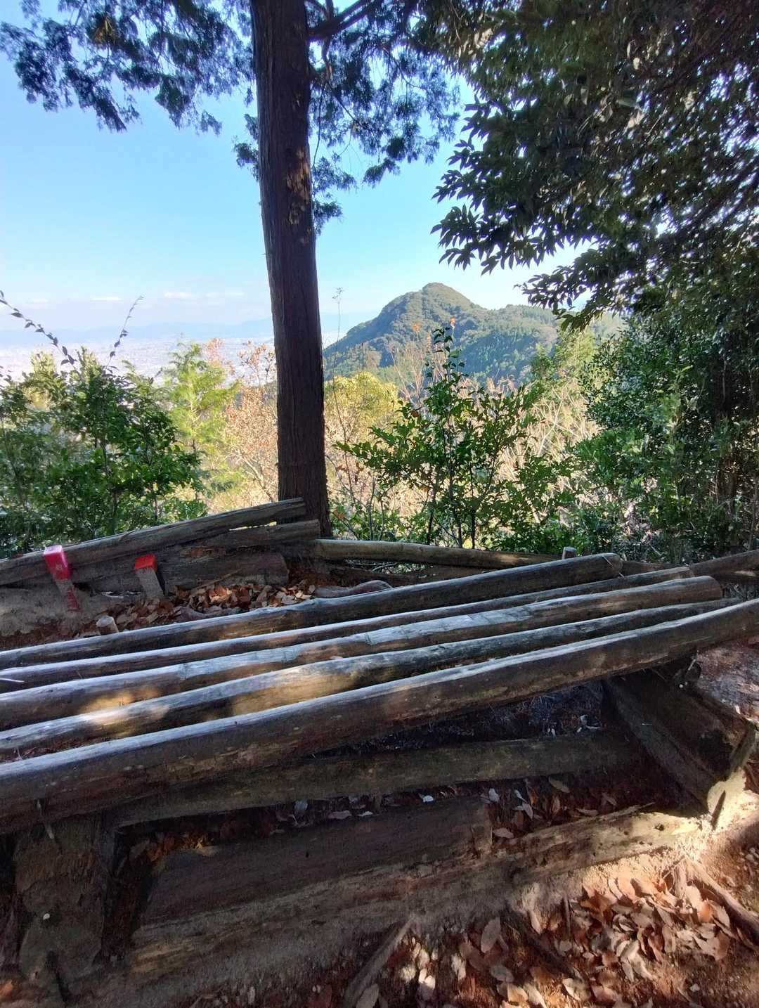 飯盛山-日向山-高地山-叶岳-叶岳登山口 縦走コースの写真