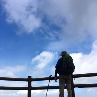 樹木ちゃんねる