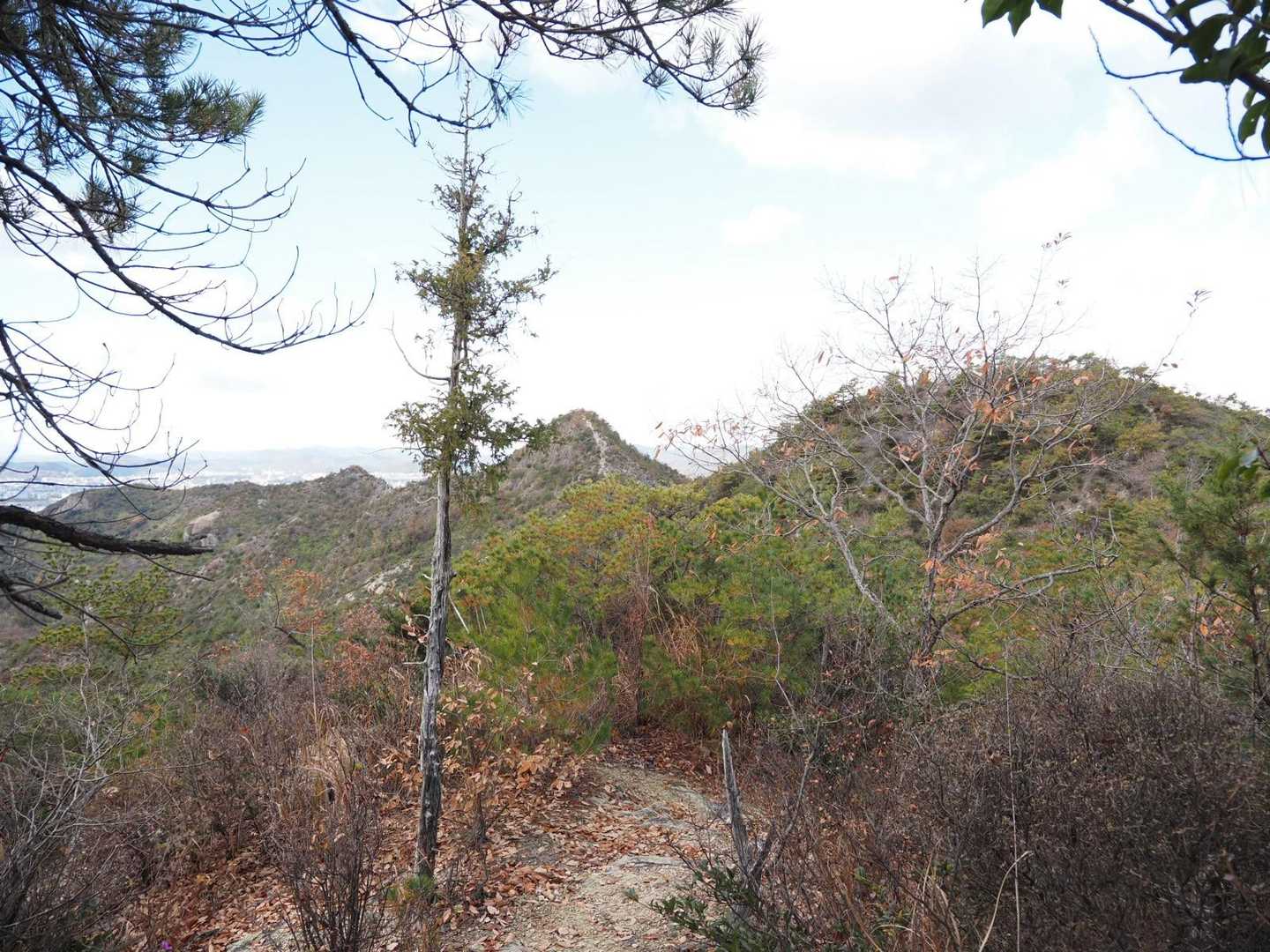 桶居山見えた